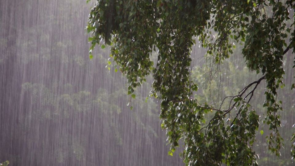 Protección Civil de Nuevo León emite aviso por lluvias en el estado