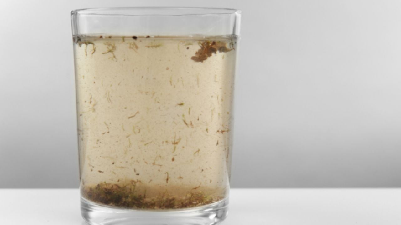Consejos para lidiar con agua turbia después de cortes en Nuevo León