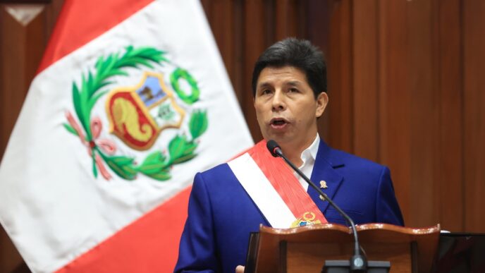 ONU exige liberación inmediata de Pedro Castillo tras detención arbitraria