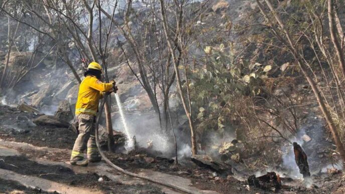 Incendio en Monterrey moviliza a bomberos en Colinas de Valle